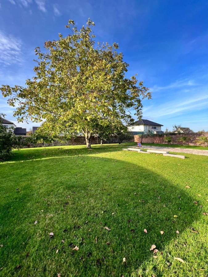 Gîte avec piscine Lestrem Extérieur photo
