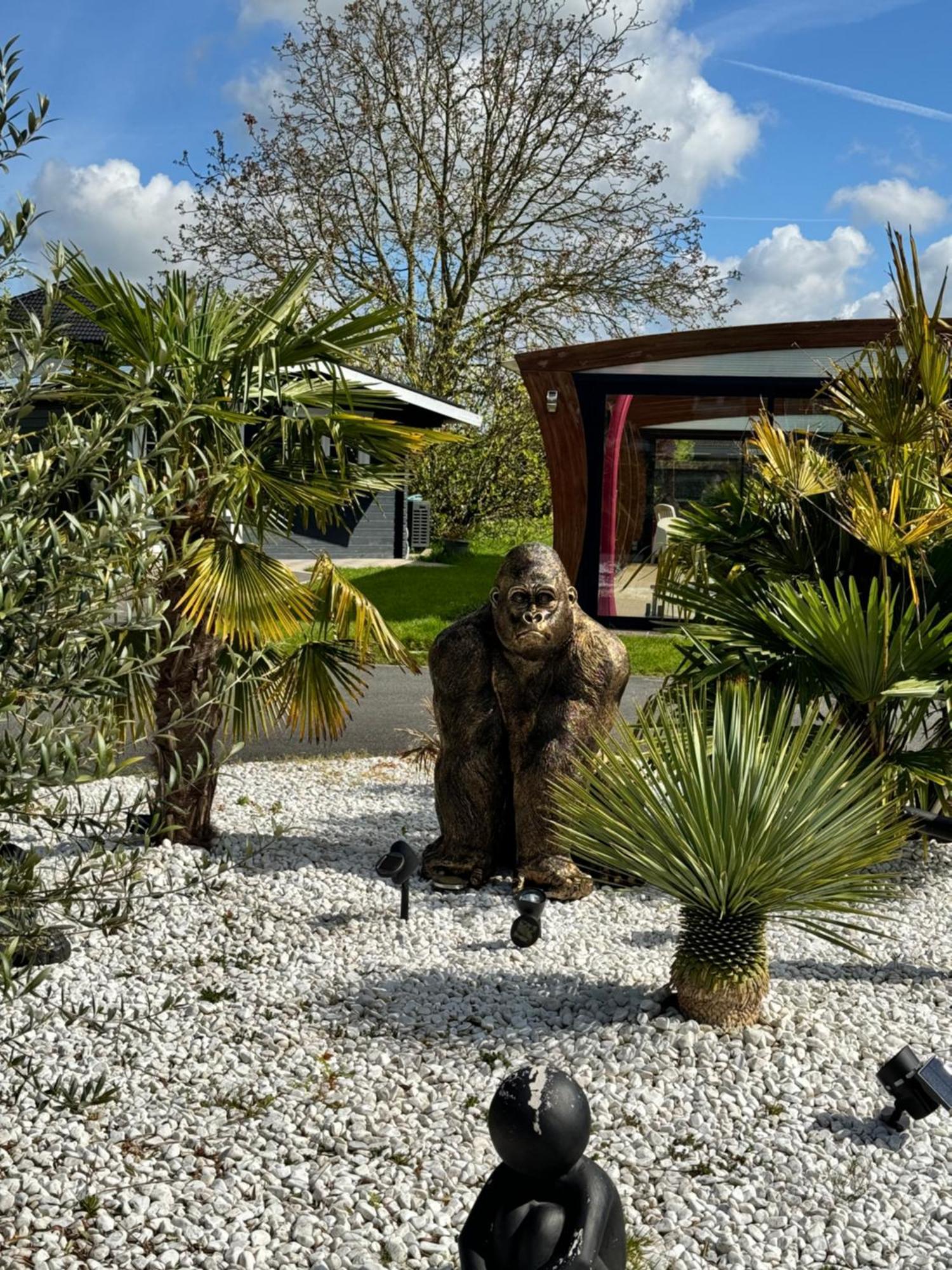 Gîte avec piscine Lestrem Extérieur photo