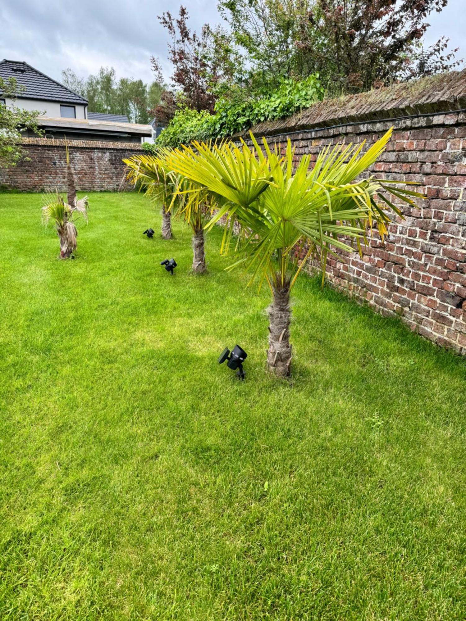 Gîte avec piscine Lestrem Extérieur photo